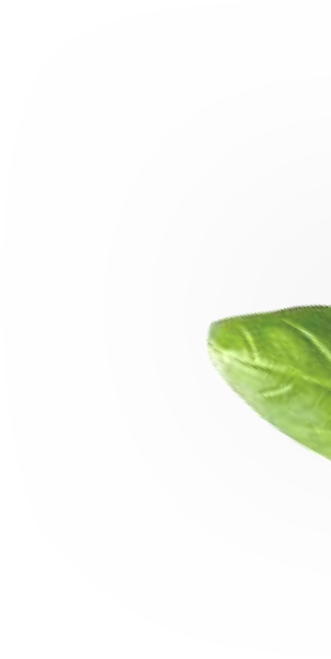 What States Do You Currently Deliver To - Herbal (303x603), Png Download