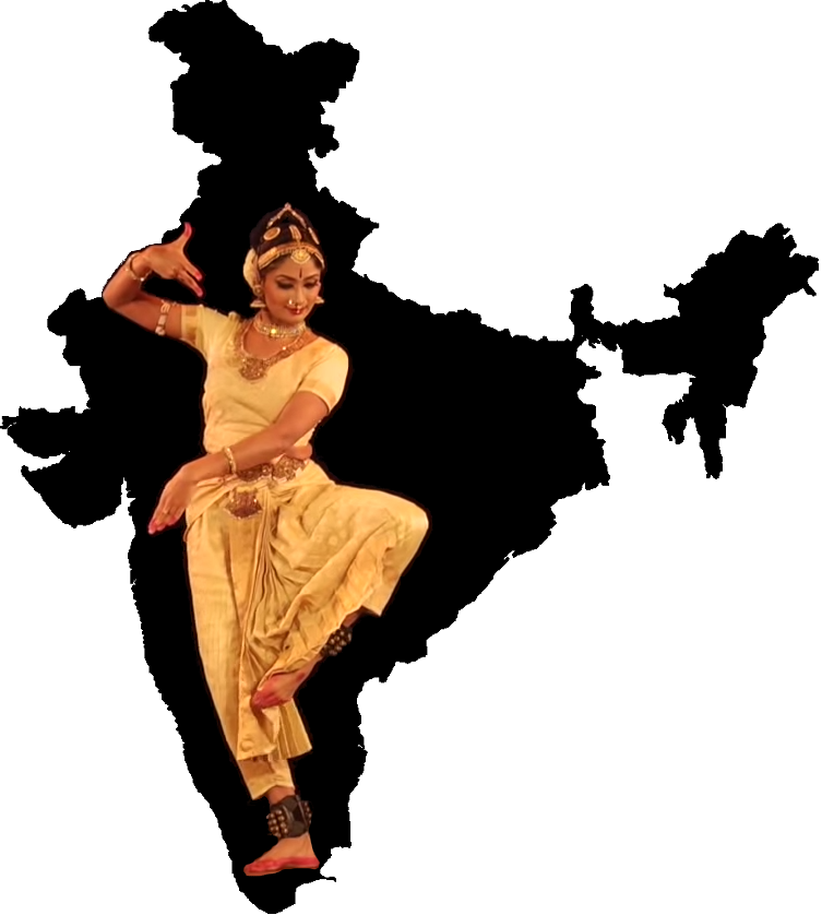 A Little Work With The Gimp, And I Had Created A Minor, - Foot Soldier Of The Constitution: A Memoir Parody (753x838), Png Download