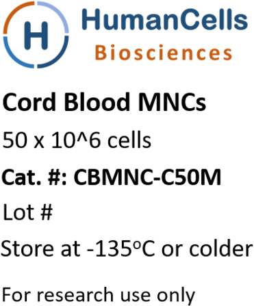 Human Cord Blood Monoculcear Cells, Cb Mncs - Peripheral Blood Cell (449x480), Png Download