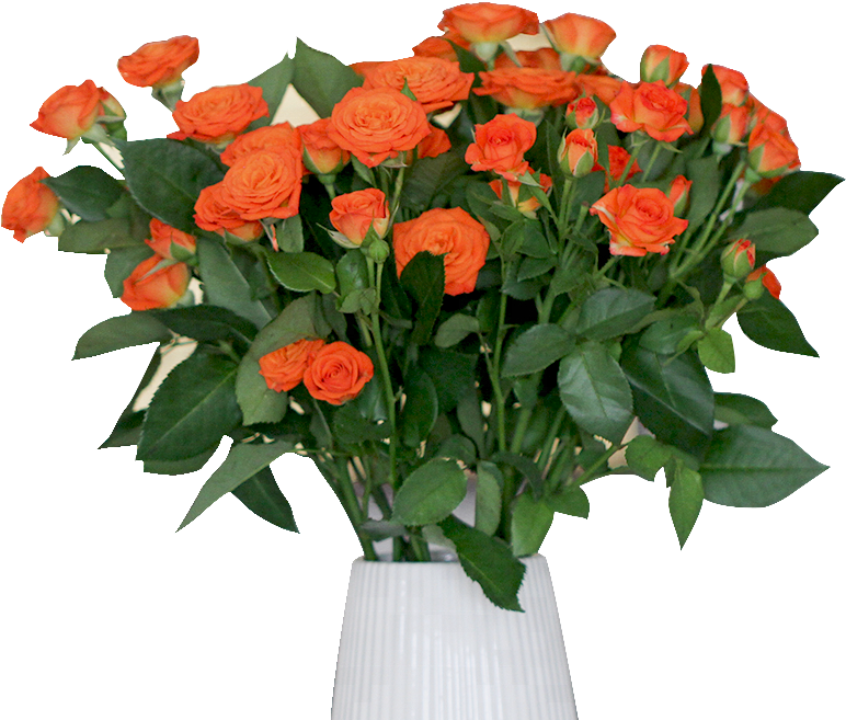 Wholesale Fresh Cut Rose Flowers For Wedding - Bouquet (800x800), Png Download