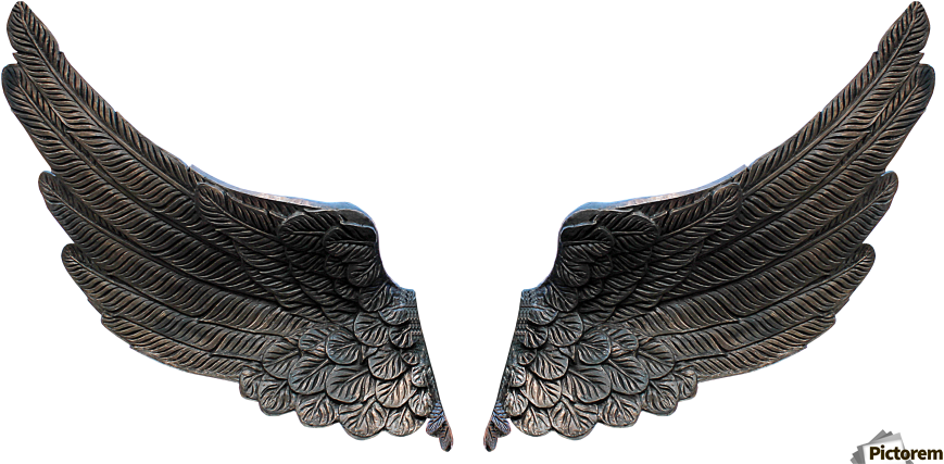 Canvas Print - ทูต สวรรค์ ปีก Png (899x437), Png Download