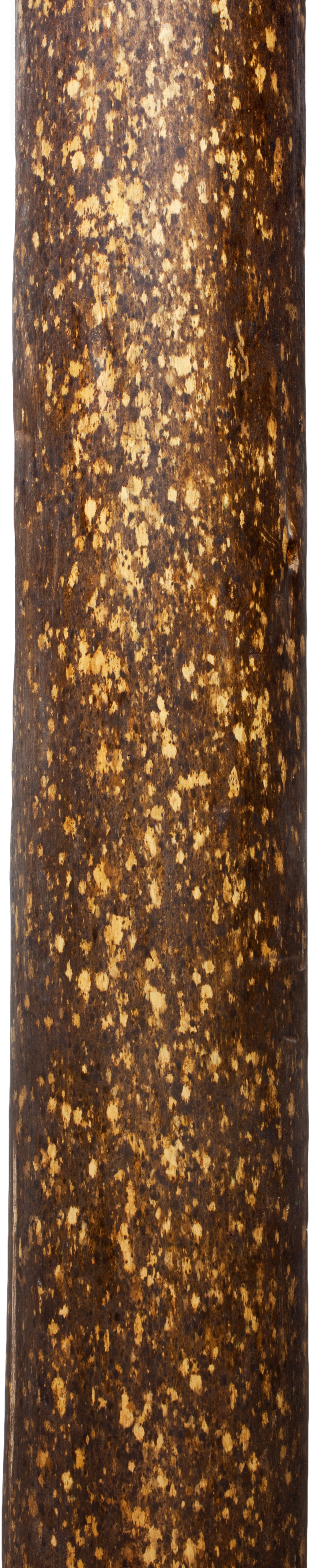Kitayama Hinoki Sabi Maruta - Tree Wood Png Hd (1374x5304), Png Download