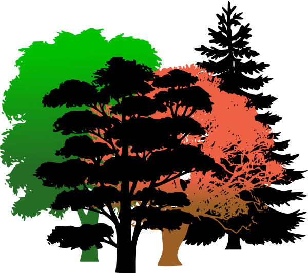 How To Set Use Wood Clipart (600x533), Png Download