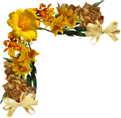 Flores Encontradas En La Web - Flower Frame Orange (400x390), Png Download