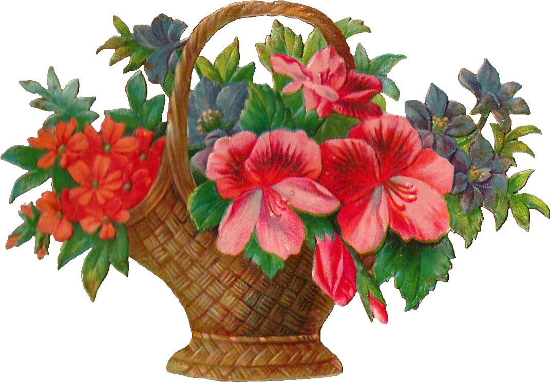 Free Flower Stock Image - Flowers Clip Art (1405x1064), Png Download