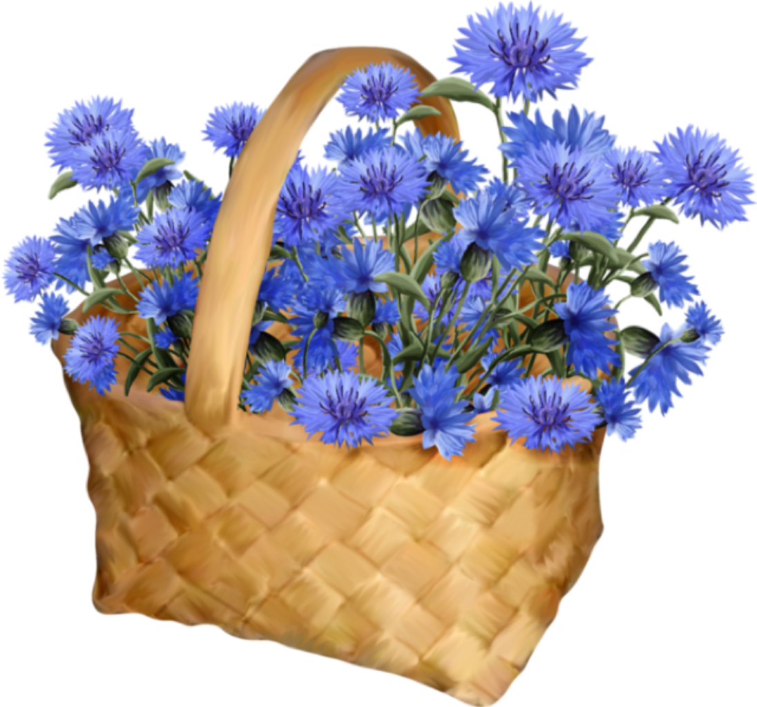Ftestickers Flowers Basket Blueflowers - Lekker Daggie Goeie More Vriendin (1096x1024), Png Download