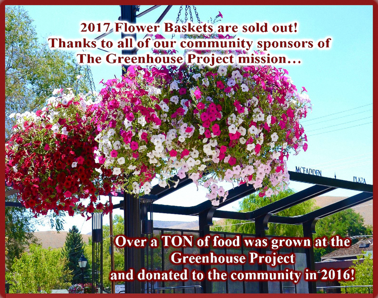 Petunia (1217x961), Png Download