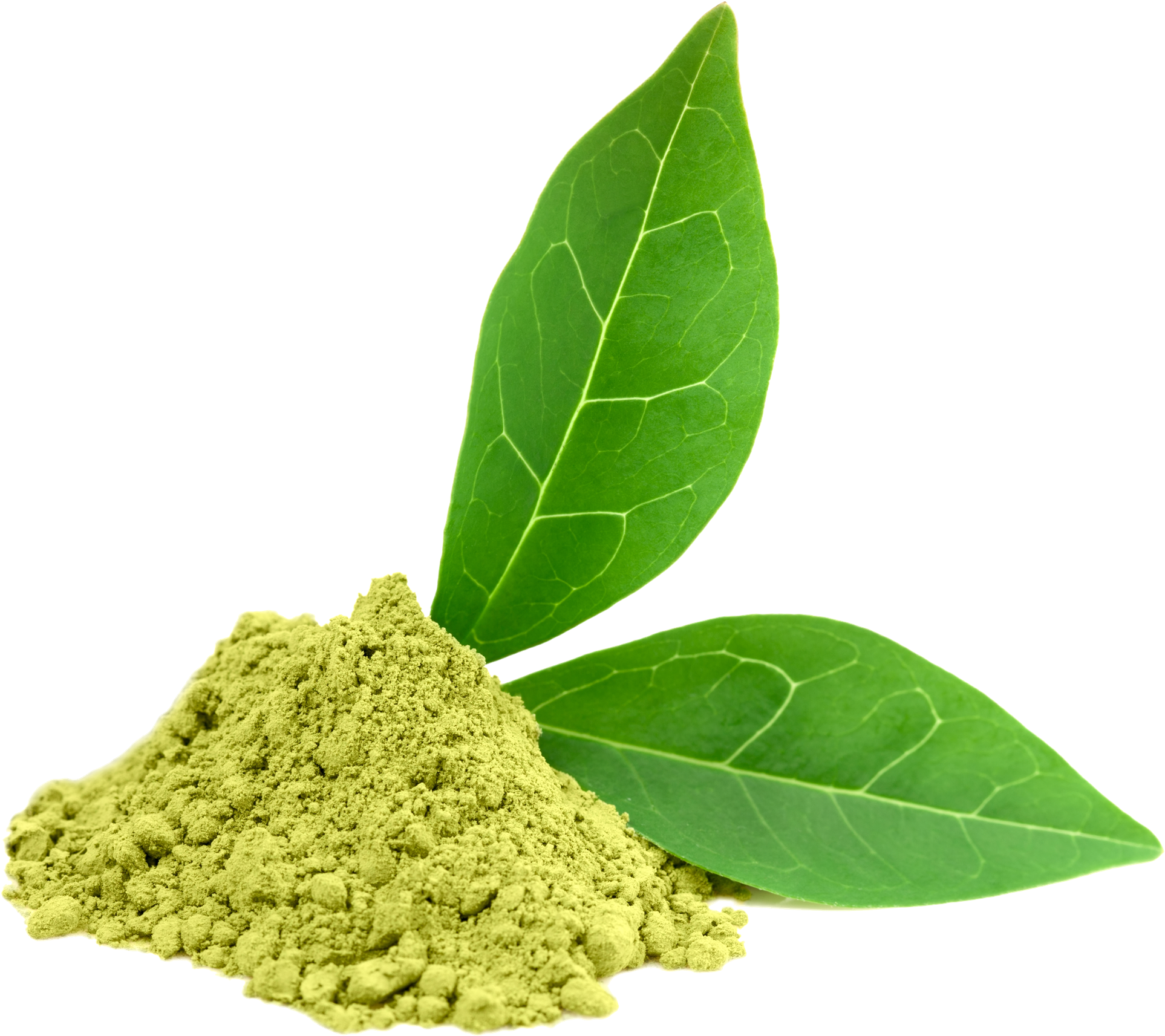 Clipart Leaves Green Tea Leaf (2062x1845), Png Download