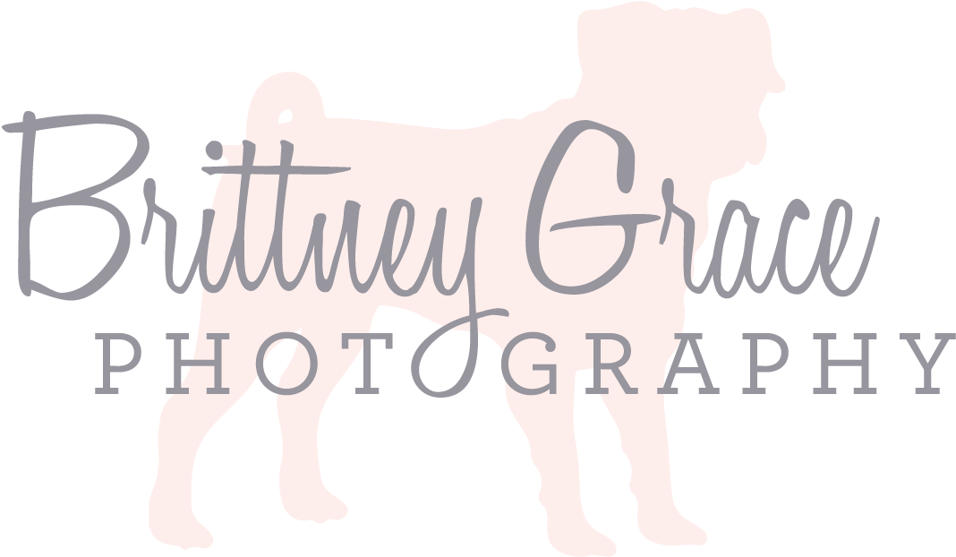 Brittney Grace Photography - Pug Necklace, Dog Necklace, Dog Pendant, Animal Necklace, (1108x669), Png Download