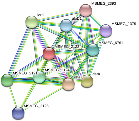 Network - Circle (975x423), Png Download