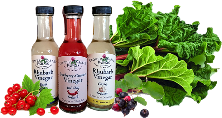 Index Illustration - Rhubarb Vegetables (711x424), Png Download