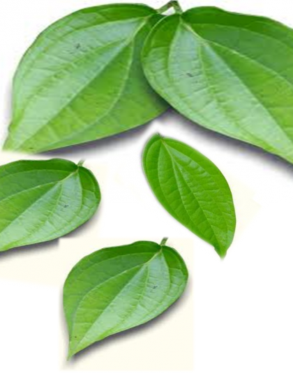 Betel Leaves - Betel Leaf Paan Png (420x535), Png Download