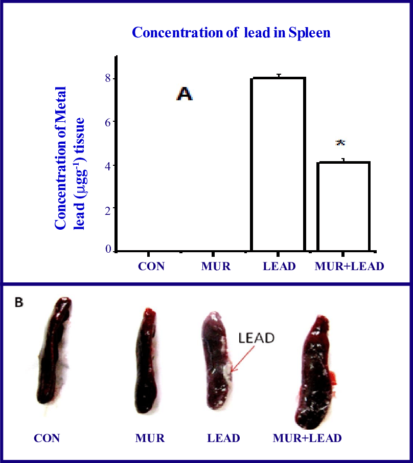 Effect Of Aqueous Extract Of Curry Leaves Against Accumulation - Spectrophotometry (808x905), Png Download