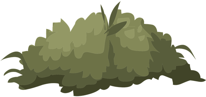 Bush, Nature, Green, Leaves, Outdoor - Bush Illustration (680x340), Png Download
