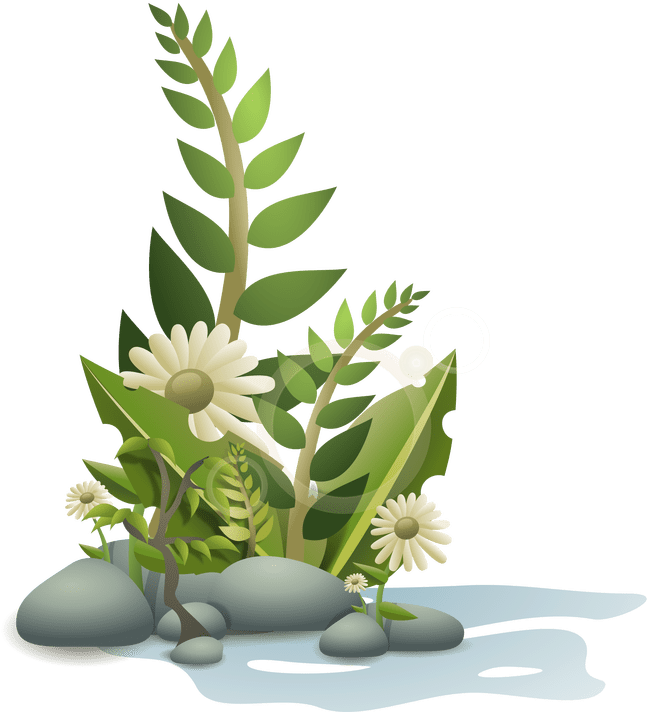 Aquarium Plants Clipart - Plants Clipart (720x731), Png Download