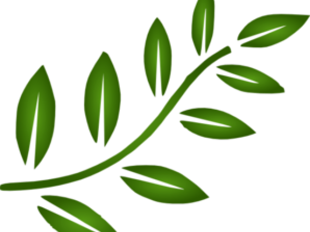 Branch Leaves Cliparts - Black Leaves Clip Art (640x480), Png Download