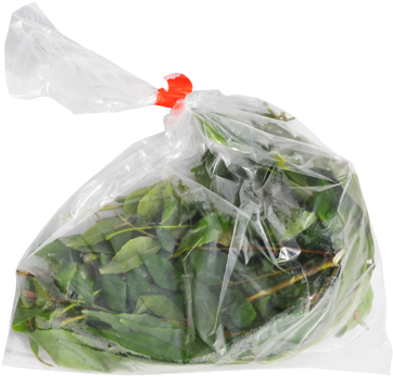 Curry Leaves - Choy Sum (500x500), Png Download