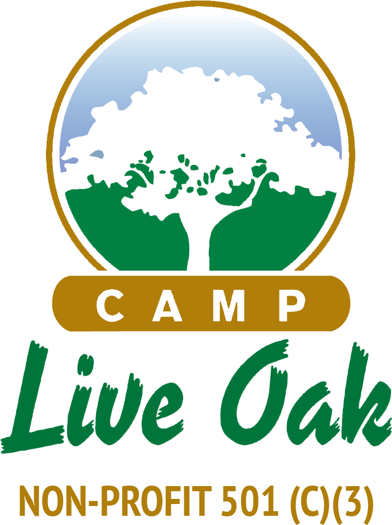 Amazing Outdoor Summer Camp Located In Fort Lauderdale - Camp Live Oak (960x1106), Png Download