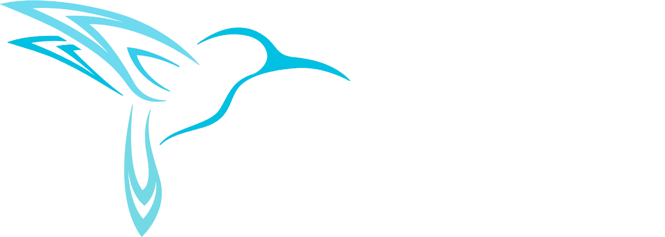 Baby Blue Film - Colibri Bird Vector (2325x828), Png Download