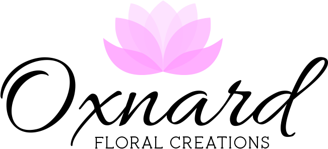 Port Hueneme, Ca Florist - Don T Ever Let Anyone Take Away Your Sparkle (700x400), Png Download