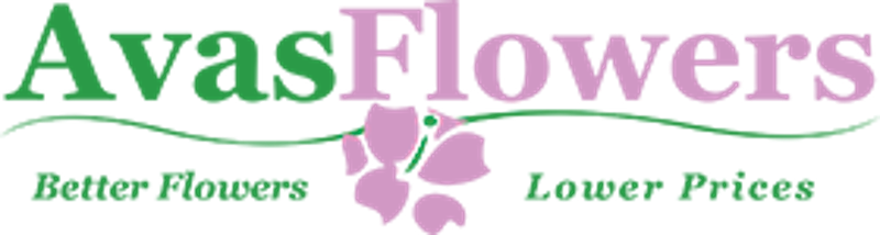 Avas Flowers Coupons - Avas Flowers Logo Png (800x214), Png Download