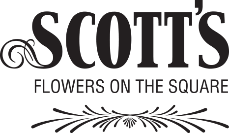 Info - Scott's Flowers On The Square (466x270), Png Download