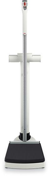 Seca 704 S - Seca 704 S Integrationsfähige Geeichte Säulenwaage (600x600), Png Download