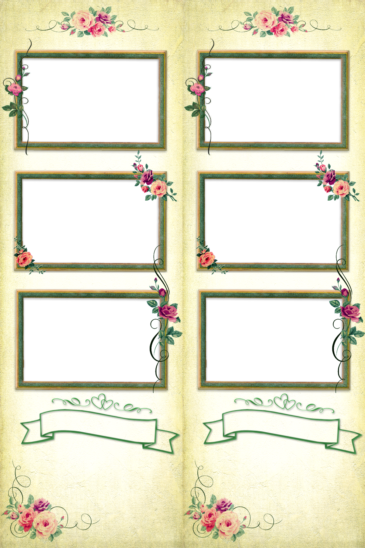 Peticabina-wedding1 - Wedding Background 1200 X 1800 (1200x1800), Png Download