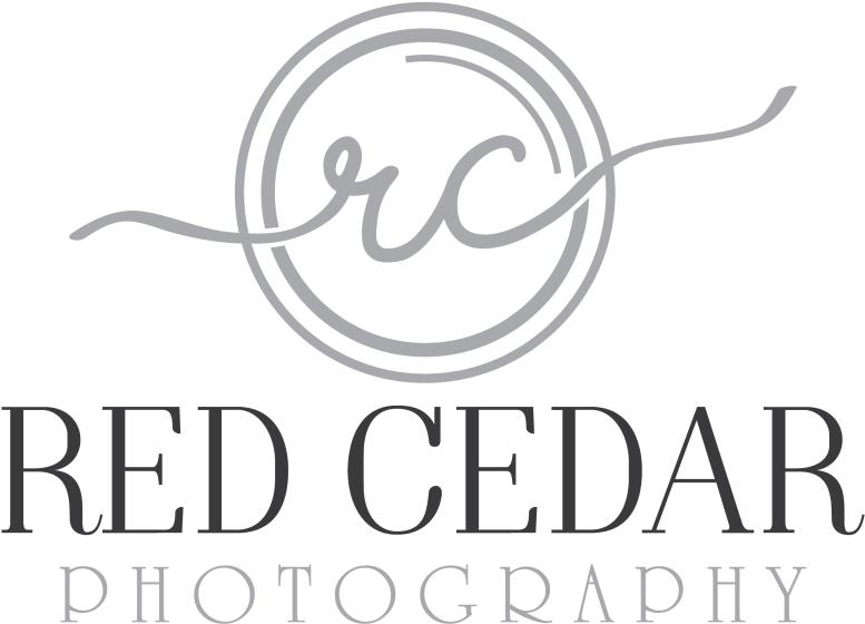 Victoria Wedding Couples Family Photographer - Wordpress (1030x687), Png Download