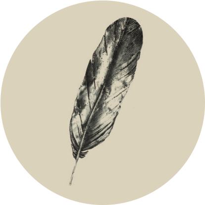 Neustadt Feather - Feather (960x450), Png Download