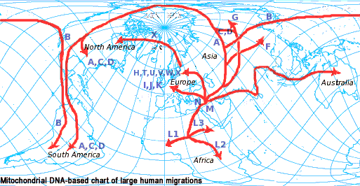 Eventual Dispersion-migration Routes - Graphic Design (513x266), Png Download