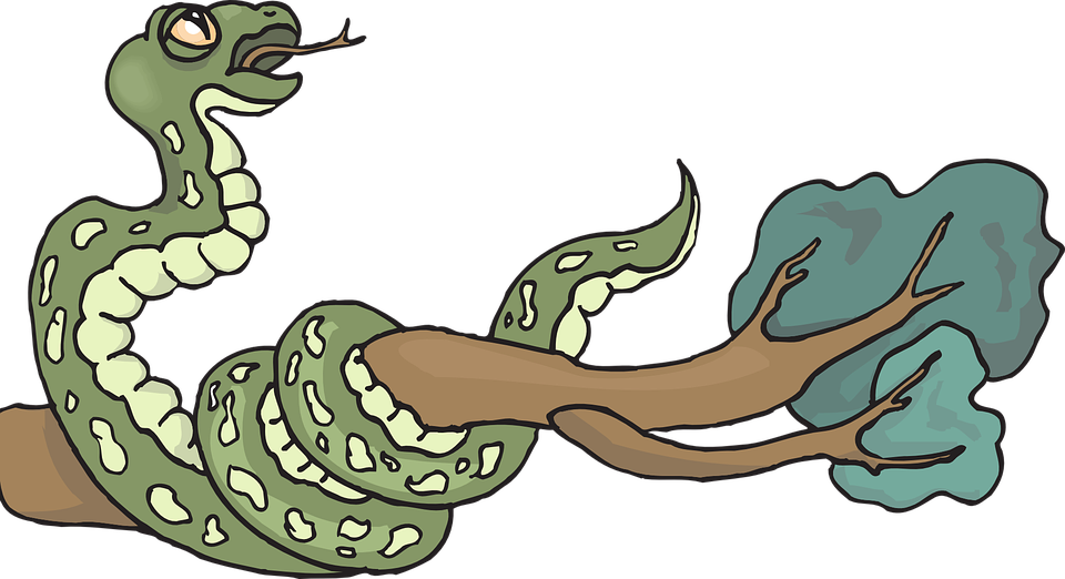 Clip Art Royalty Free Stock Collection Of Free Branches - Snake On Tree Branch (960x522), Png Download