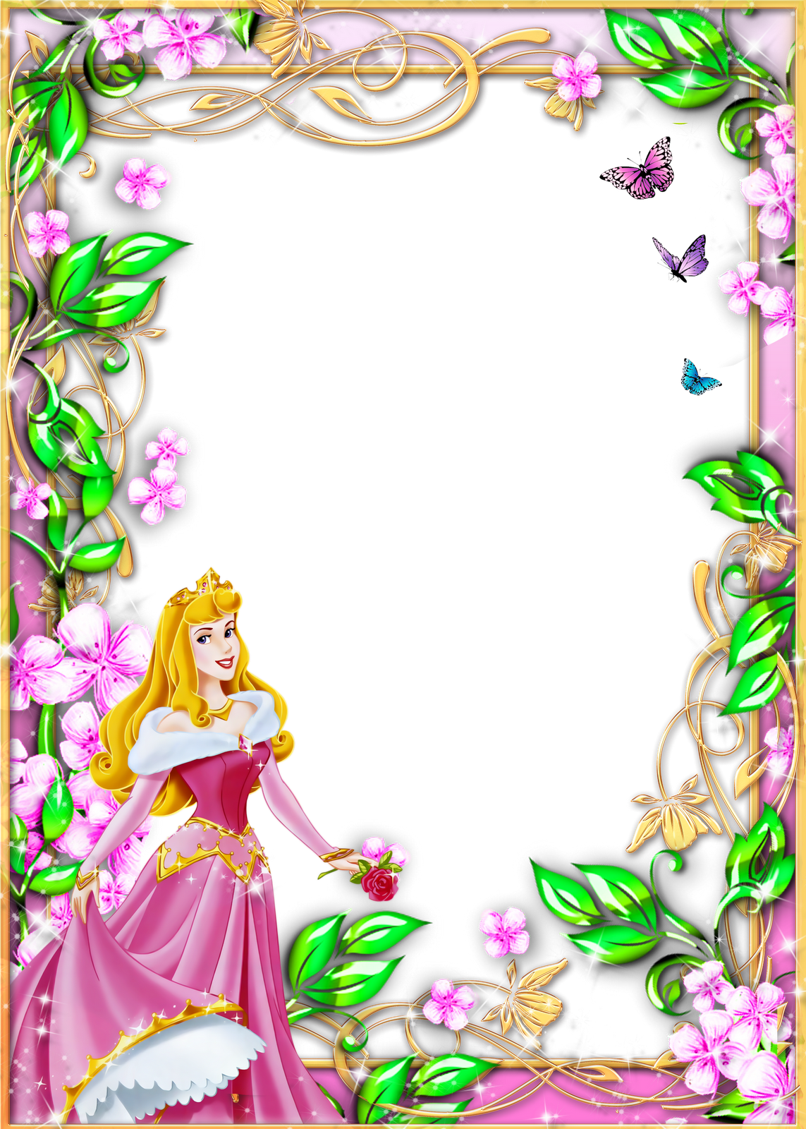 Pin Png Frames Disney Cartoon Heroes Lordofdesigncom - Princess Aurora Picture Frame (1143x1600), Png Download
