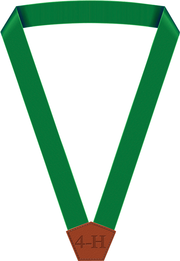 4-h Member Achievement Ribbon - Symmetry (1028x1028), Png Download