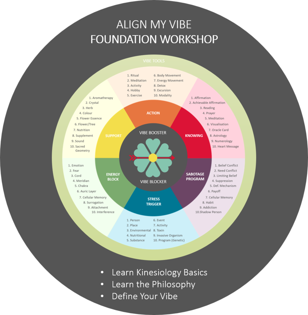 Amv Foundation Target - Circle (1000x1022), Png Download