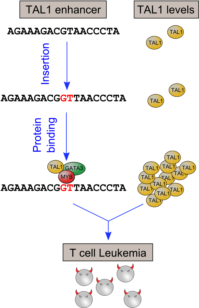 160321 Mute Summary - Promoter Sequence (744x1052), Png Download