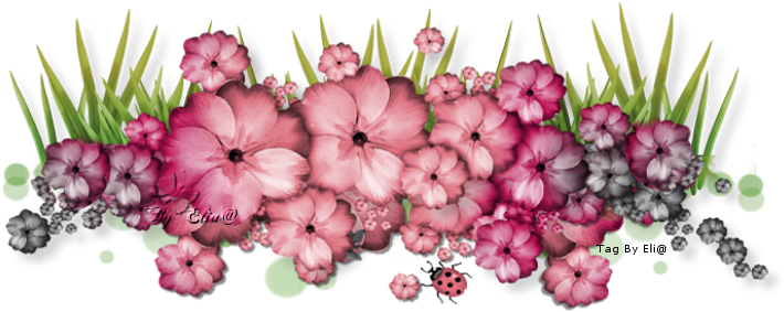 Http - //dl - Glitter Graphics - Go To Www - Glitter - Graphics (722x294), Png Download