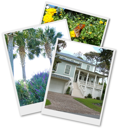 About Us - Lawn (459x500), Png Download