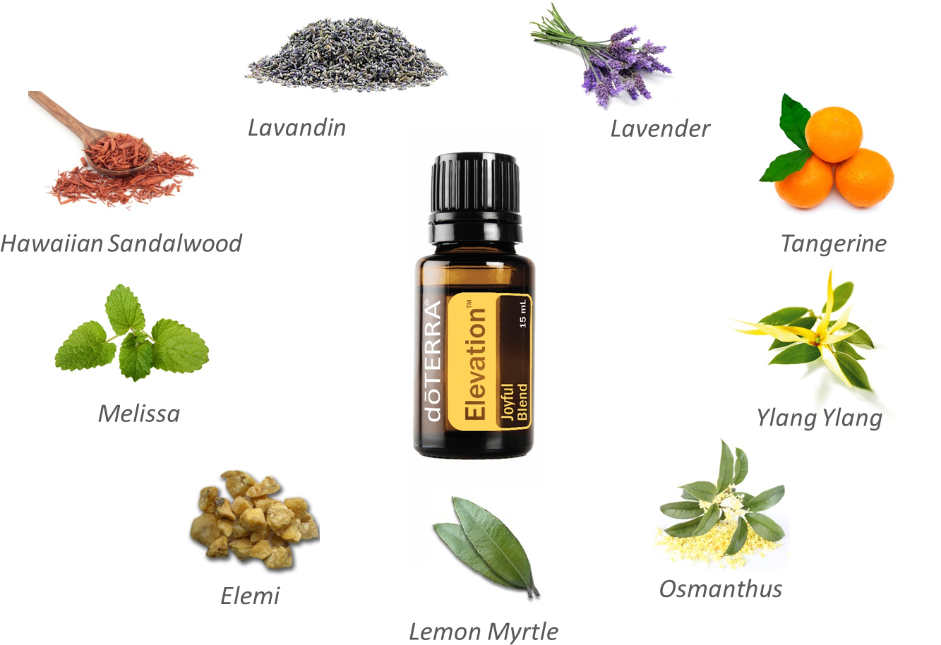 The Most Common Way That I Use This Oil Is In A Diffuser - Doterra Essential Oils - Lavender 15ml (1357x939), Png Download