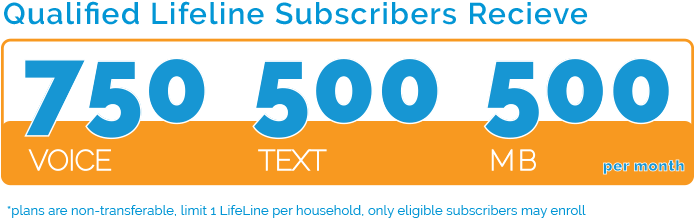 South Carolina Lifeline Program - Wisconsin (805x220), Png Download