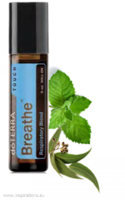 Doterra Breathe Touch Roller Bottle Pre Diluted - Doterra Easy Air Touch (486x800), Png Download