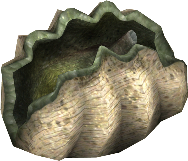 Giant Clam - Wiki (651x651), Png Download