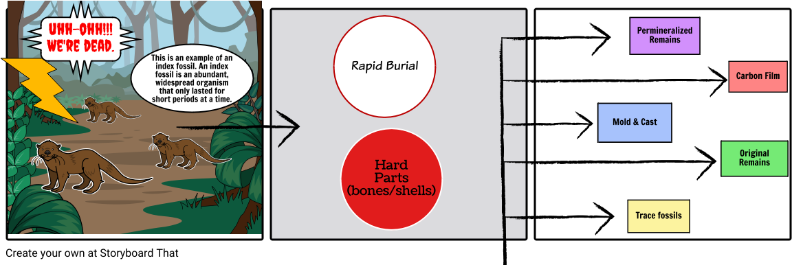 Fossil Formation - Illustration (1164x385), Png Download