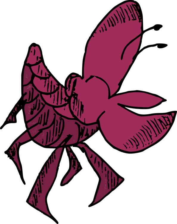 Butterfly Clam Shellfish Oyster Mussel - Shellfish Clipart (594x750), Png Download
