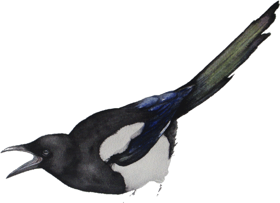 Free International Shipping To All Over The World - Watercolor Painting (1000x720), Png Download