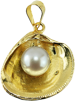 Clam Pearl Pendant - Locket (491x435), Png Download