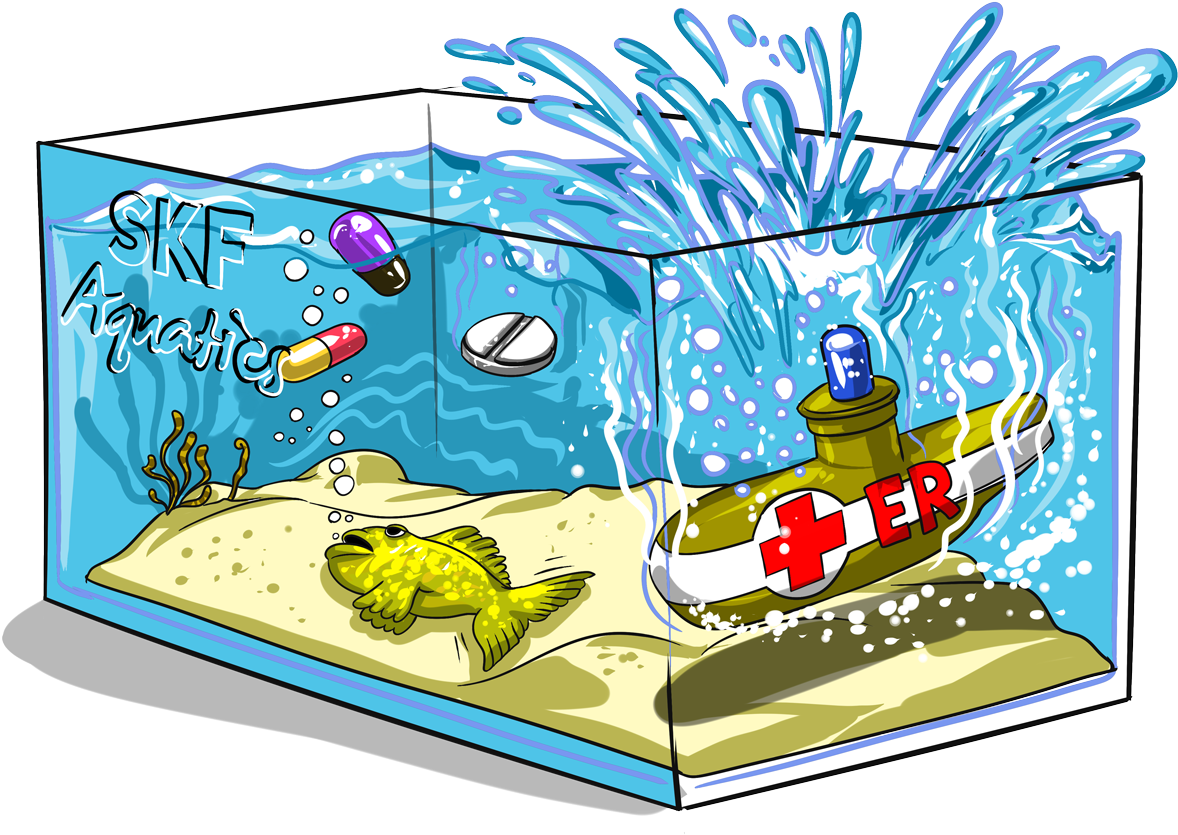 Illustration (1200x848), Png Download
