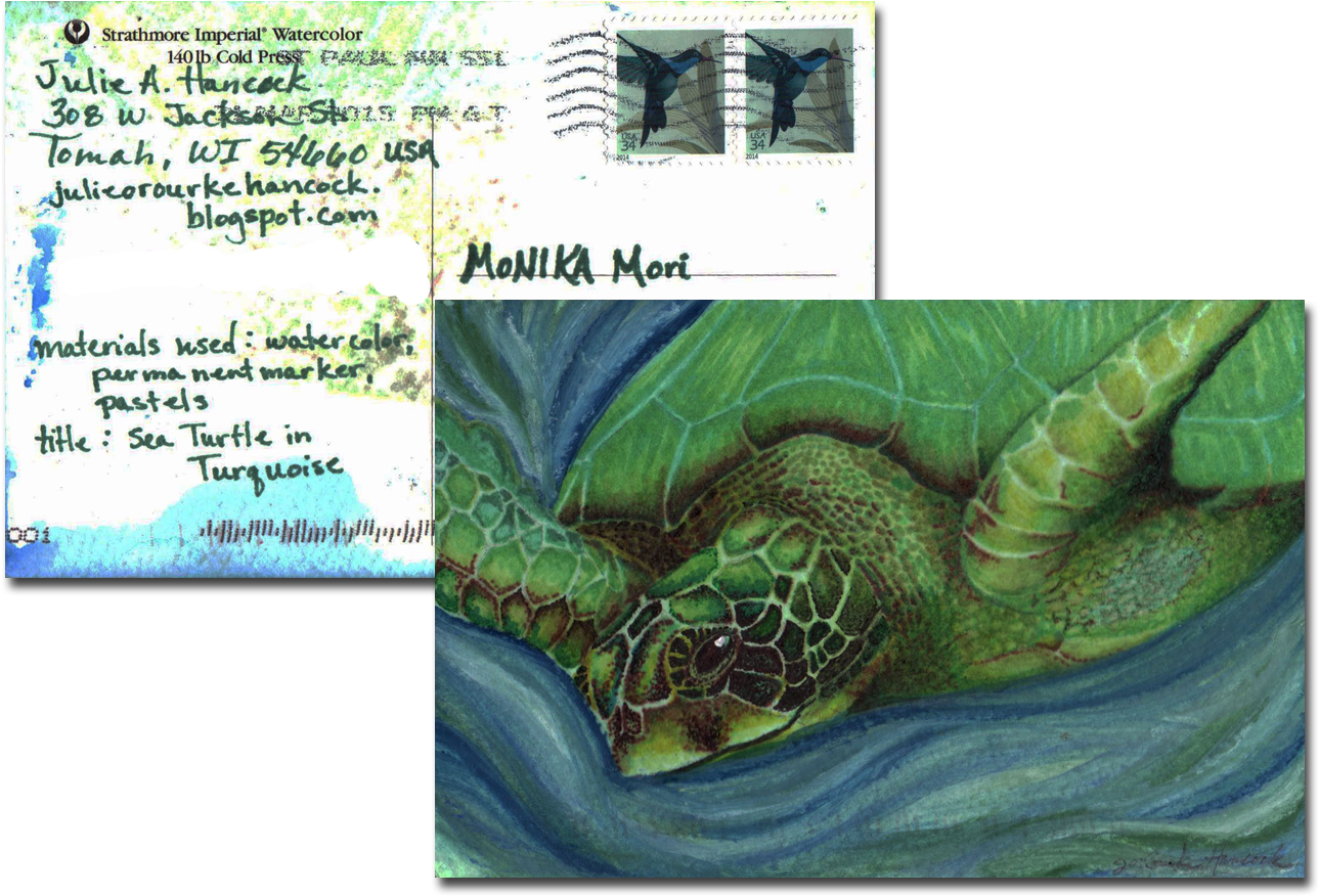 Hawksbill Sea Turtle (1500x1085), Png Download