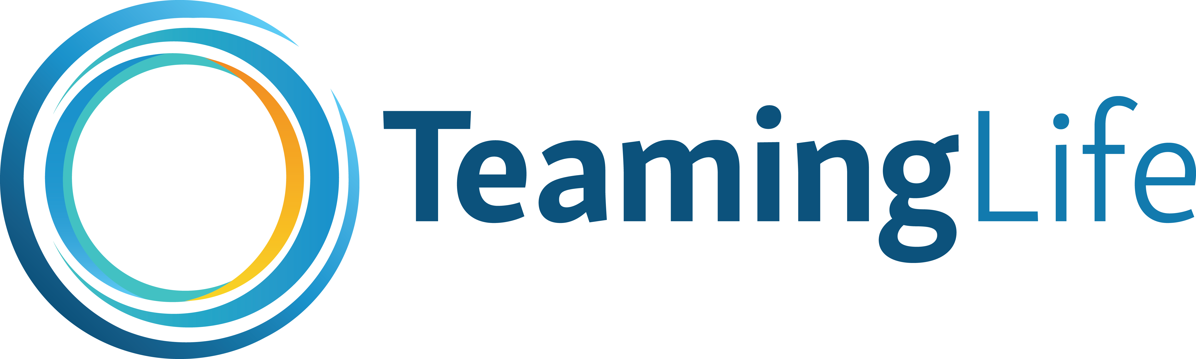 Teaming Life - Carpet Cleaning (4988x1499), Png Download