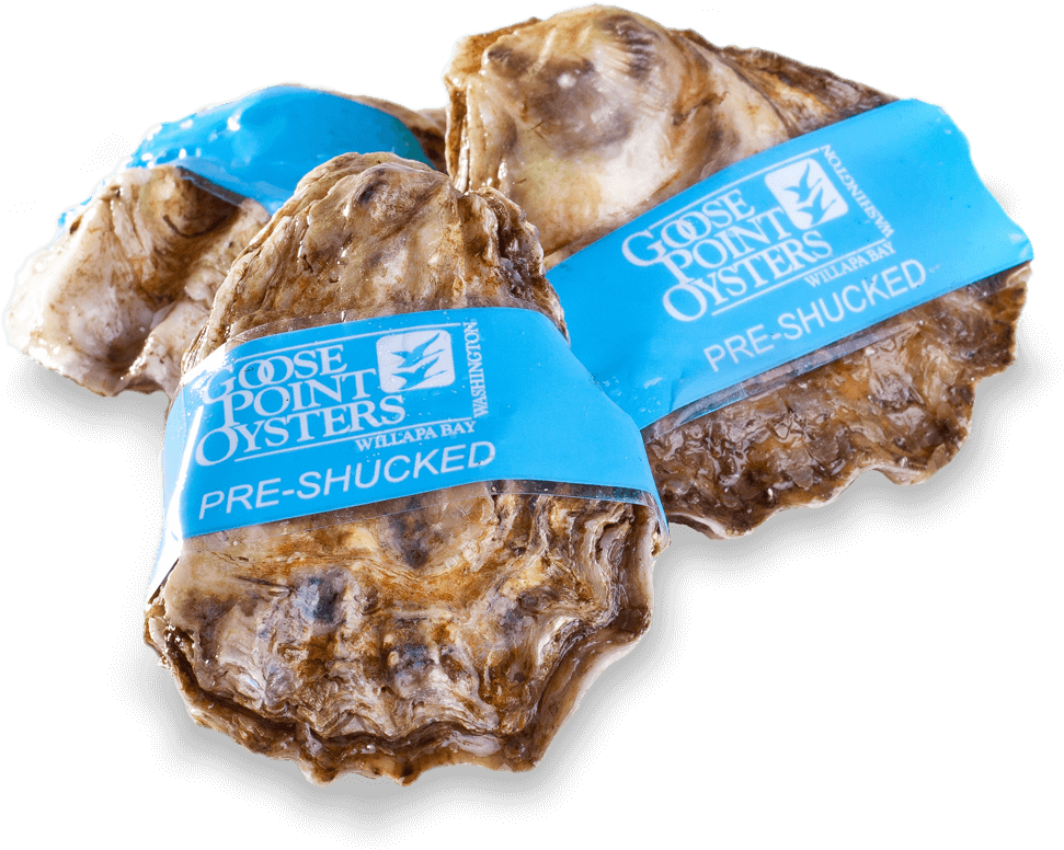 Our Oysters - Goose Point Oysters (996x789), Png Download
